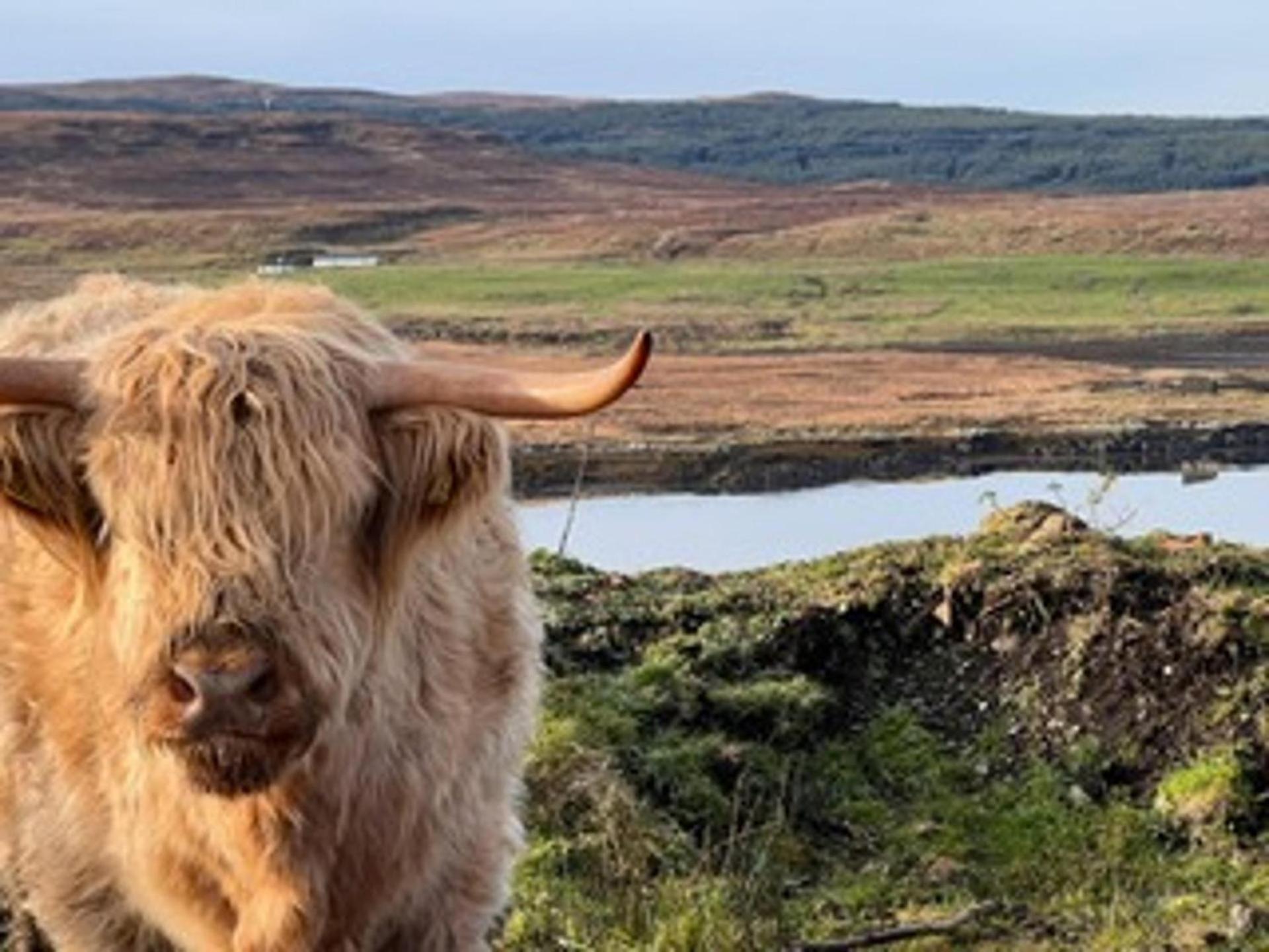 No 4 Old Post Office Row Isle Of Skye - Book Now! Villa Eyre Exterior foto